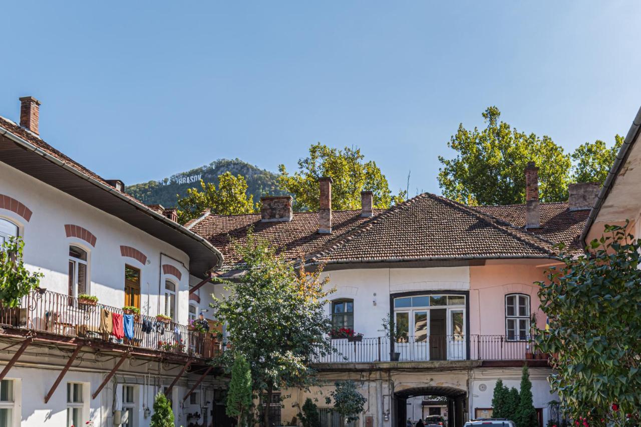 Zen Studio Brasov Exterior photo